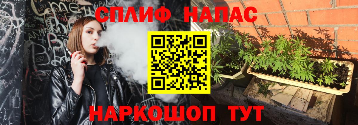 Канабис сатива  Конопля MAZAR  Конопля конопля  Вход с VPN  Балаково  Бошки Шишки семена 